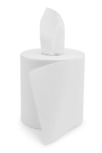 Salviette di carta Evadis Midi 2 veli 19,4×30 cm (rotolo 450 fogli)