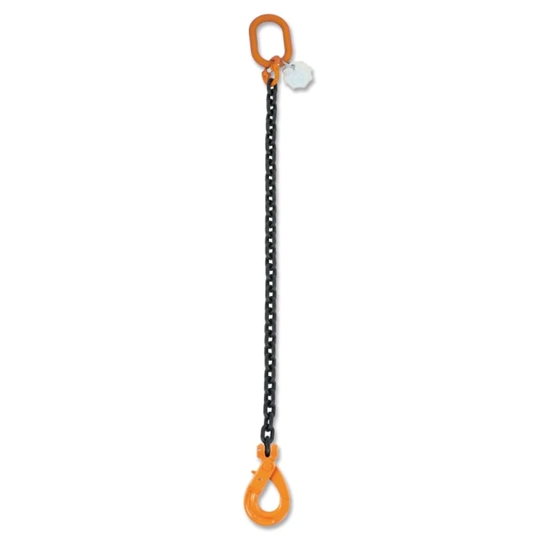 Accessori per Funi Robur