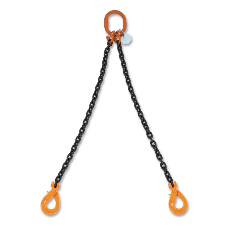 Accessori per Funi Robur