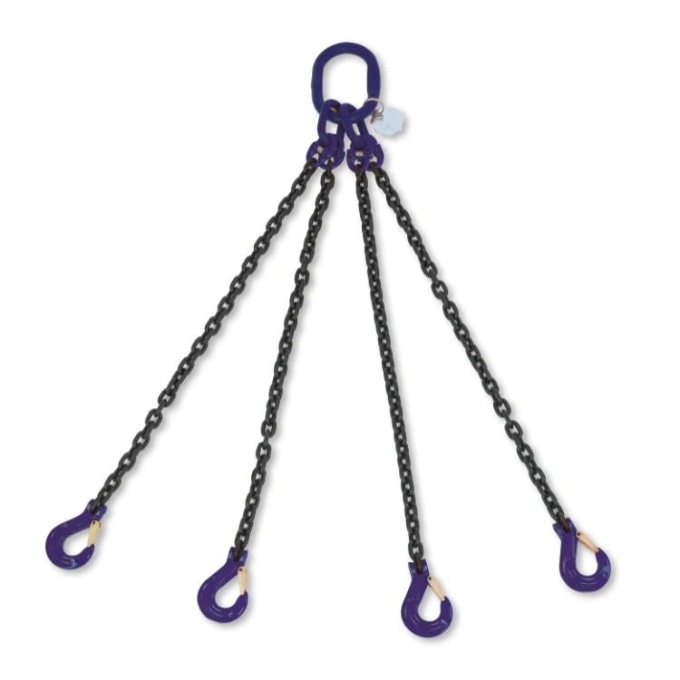Accessori per Funi Robur