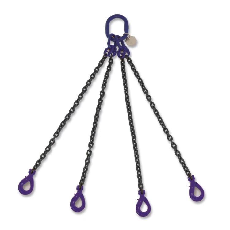 Accessori per Funi Robur