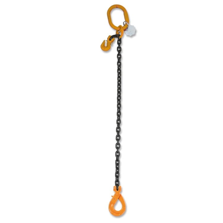 Accessori per Funi Robur
