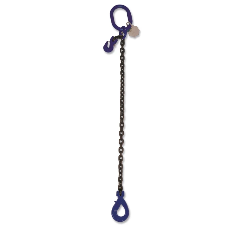 Accessori per Funi Robur